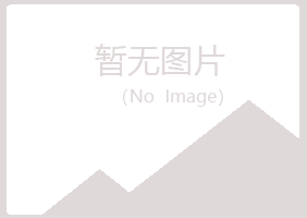 白银平川问旋化学有限公司